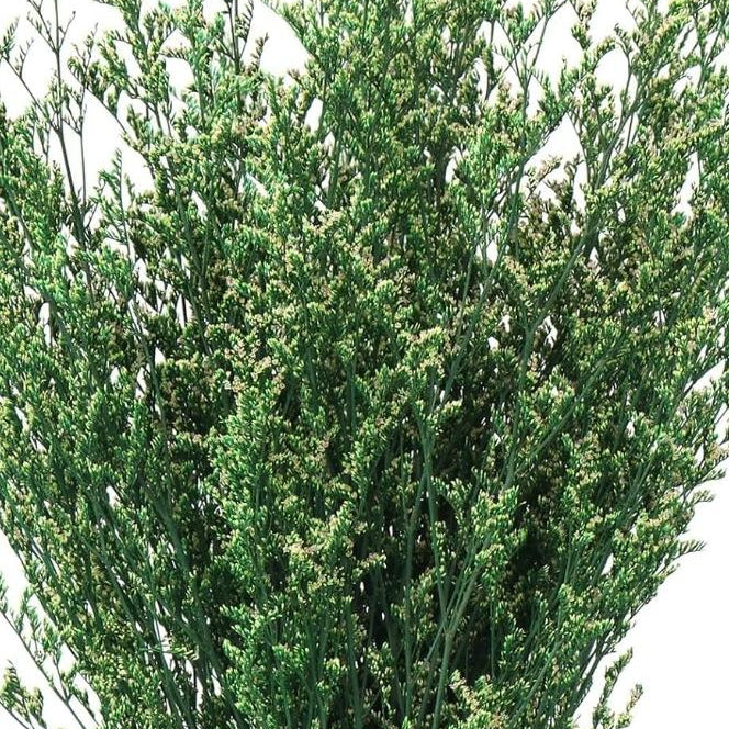 Bakewareind Dried Limonium Grass, Green