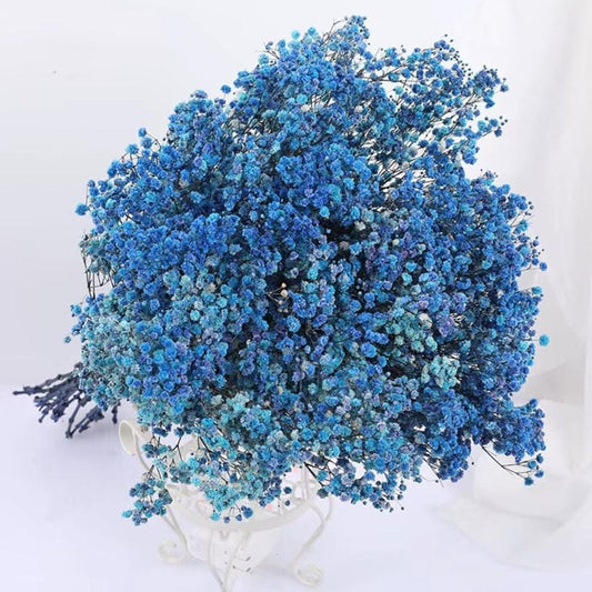 Bakewareind Baby Breath Gysophilia Dried Flower, Blue