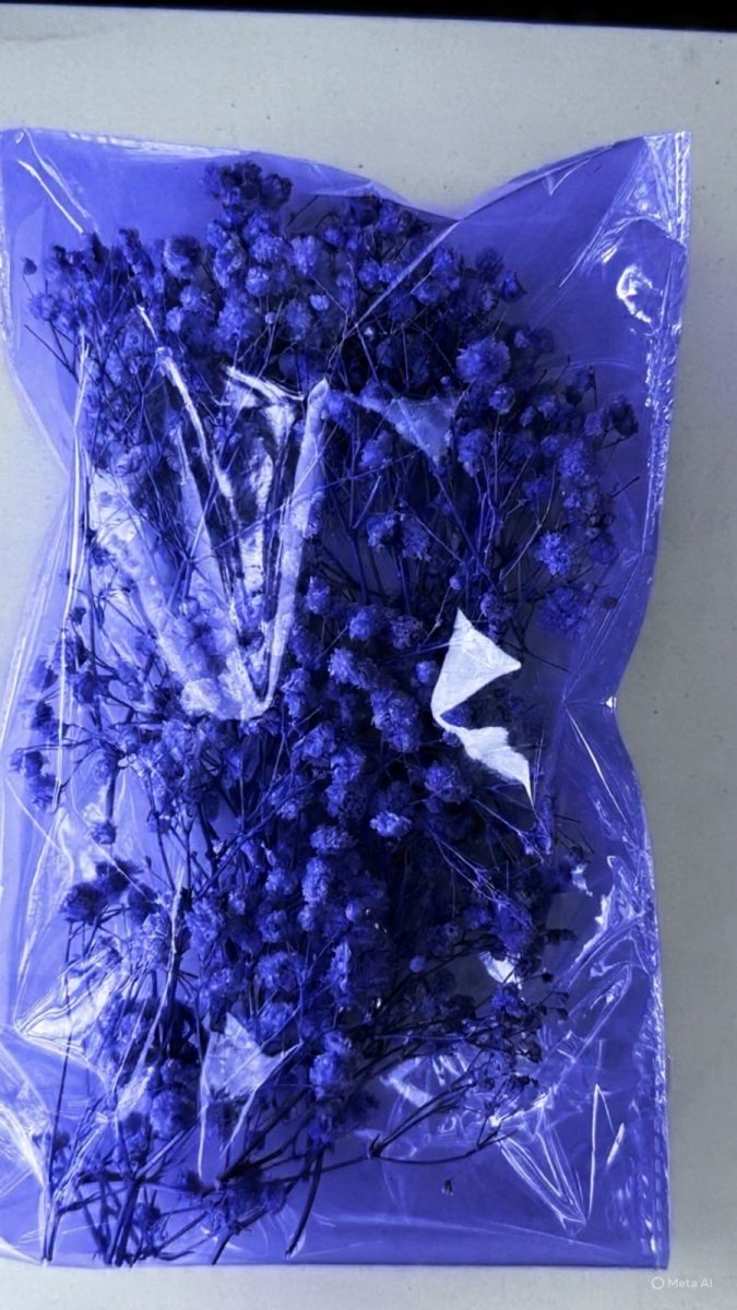 Bakewareind Baby Breath Dried Flower Pack - Bakeware India