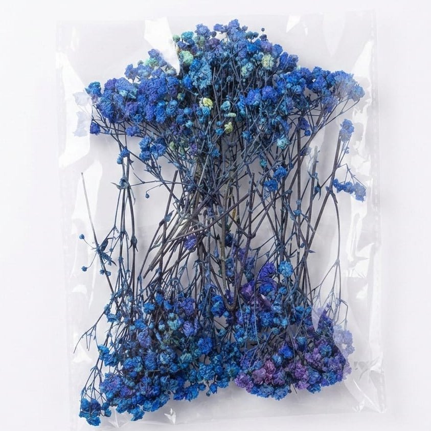 Bakewareind Baby Breath Dried Flower Pack - Bakeware India