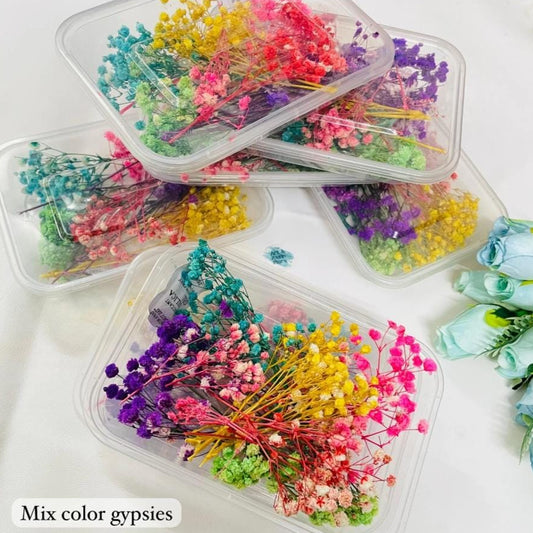 Bakewareind Baby Breath Dried Flower Pack - Bakeware India