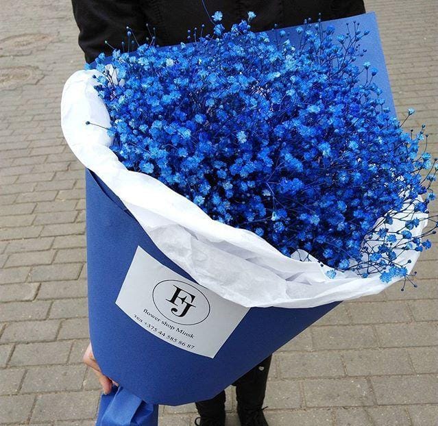 Bakewareind Baby Breath Gysophilia Dried Flower, Dark Blue - Bakeware India