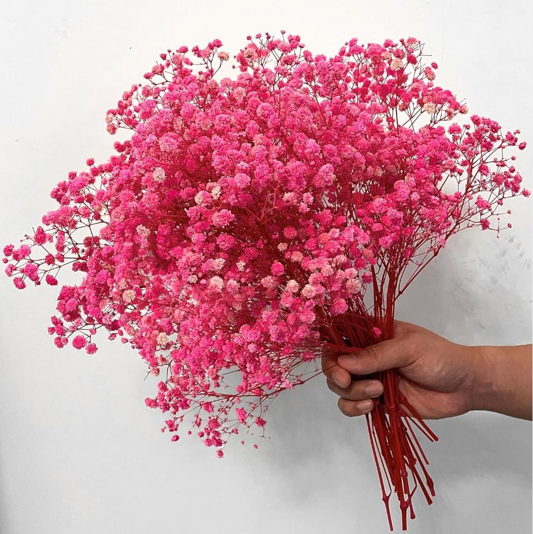 Bakewareind Baby Breath Gysophilia Dried Flower, Pink - Bakeware India