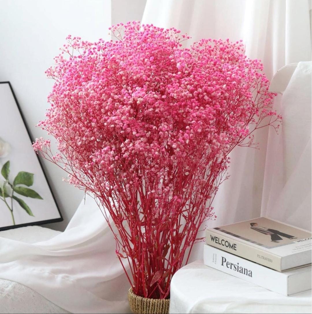Bakewareind Baby Breath Gysophilia Dried Flower, Pink - Bakeware India