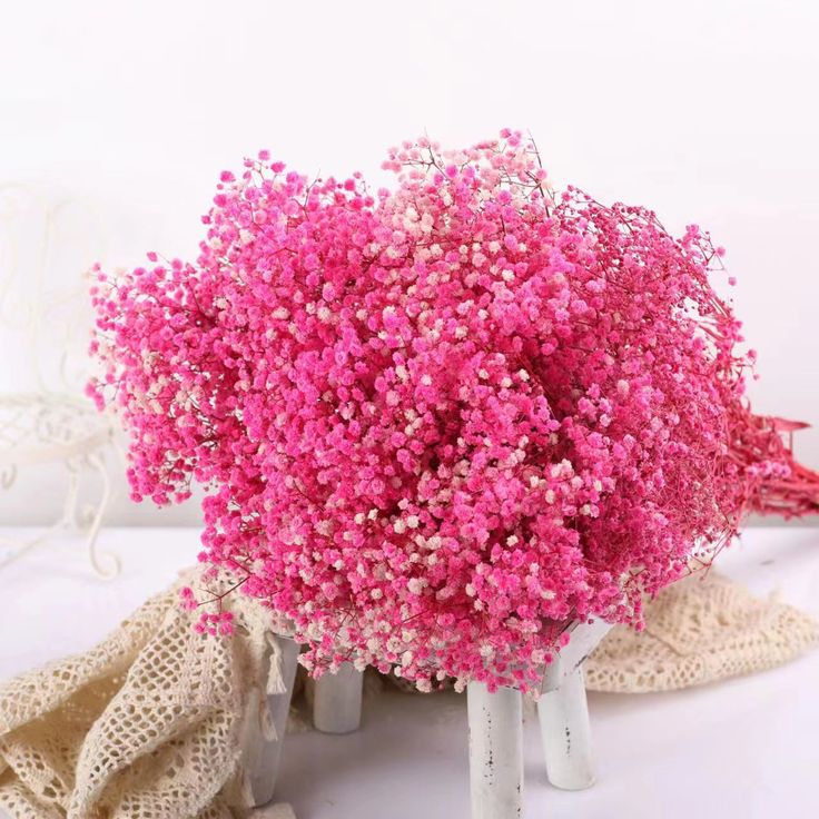 Bakewareind Baby Breath Gysophilia Dried Flower, Pink - Bakeware India