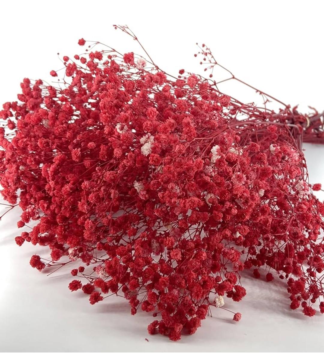 Bakewareind Baby Breath Gysophilia Dried Flower, Red - Bakeware India
