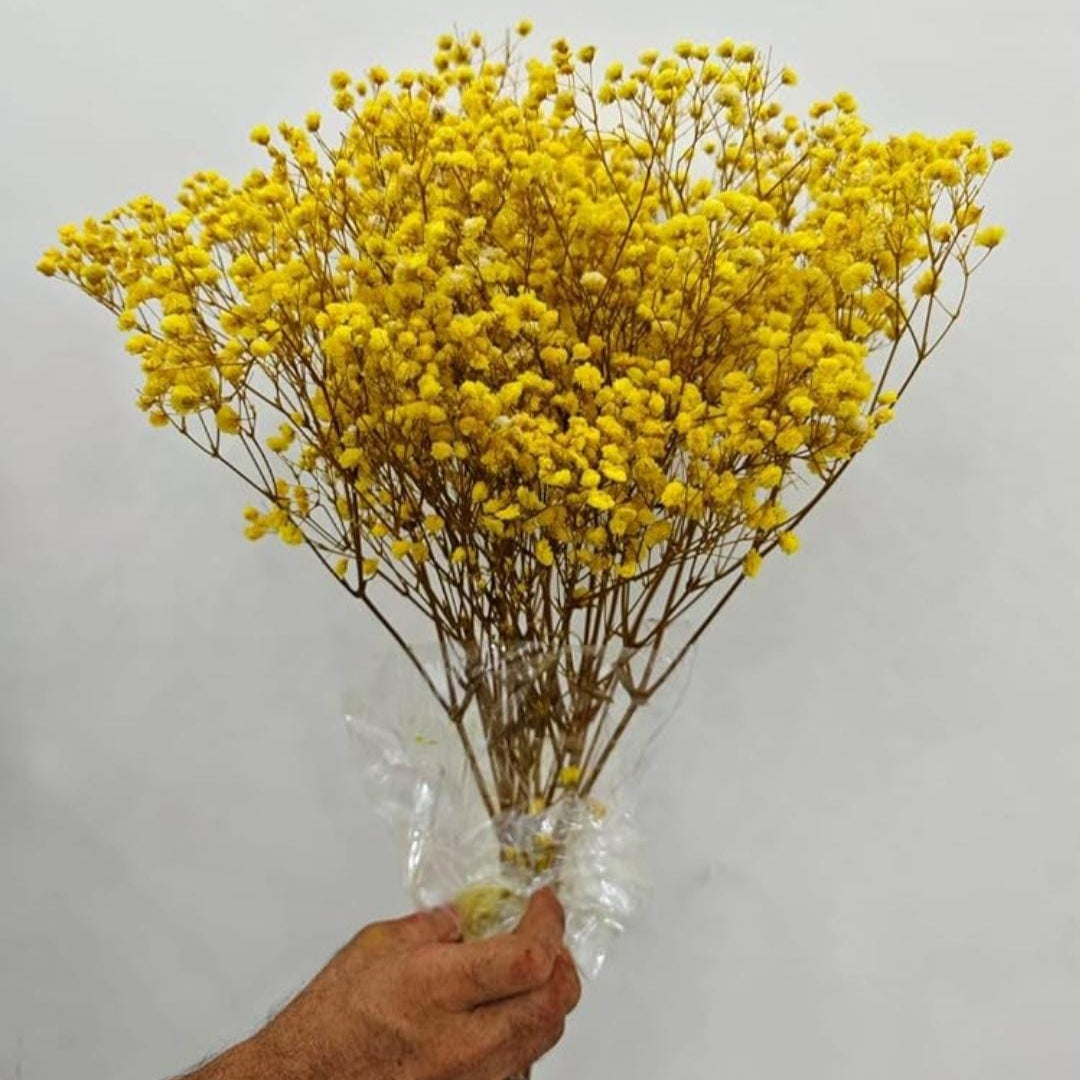 Bakewareind Baby Breath Gysophilia Dried Flower, Yellow - Bakeware India