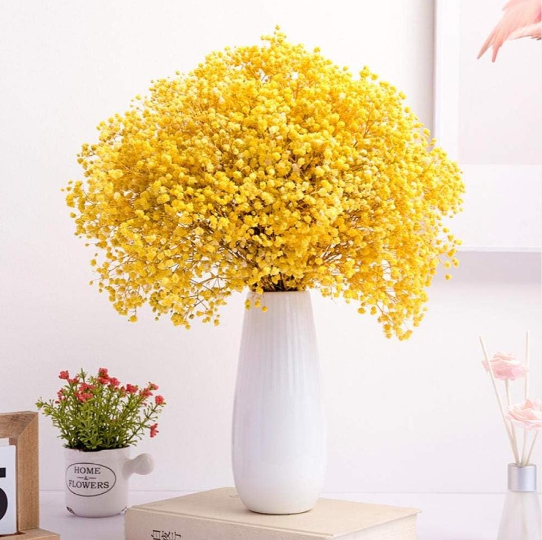Bakewareind Baby Breath Gysophilia Dried Flower, Yellow - Bakeware India