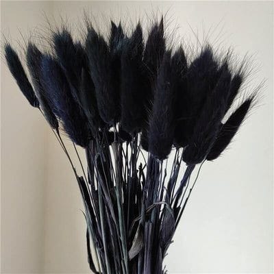 Bakewareind Bunny Tails Natural Dried Flower, Black - Bakeware India