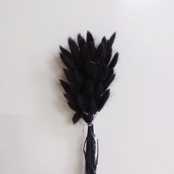 Bakewareind Bunny Tails Natural Dried Flower, Black - Bakeware India