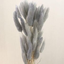 Bakewareind Bunny Tails Natural Dried Flower Preserved, Grey - Bakeware India
