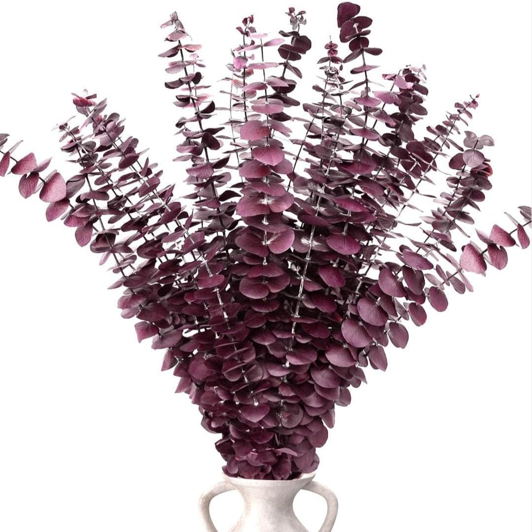 Bakewareind Dried Eucalyptus Leaves Preserved, Red - Bakeware India