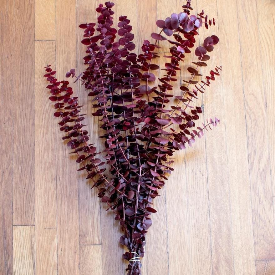 Bakewareind Dried Eucalyptus Leaves Preserved, Red - Bakeware India