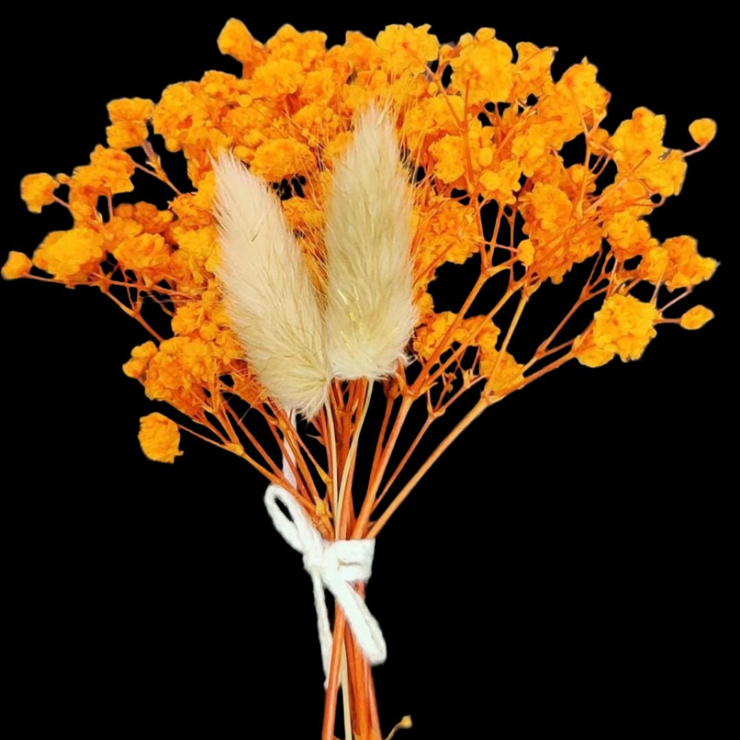 Bakewareind Dried Flower Mini Customize Bouquets { Select Colors } - Bakeware India