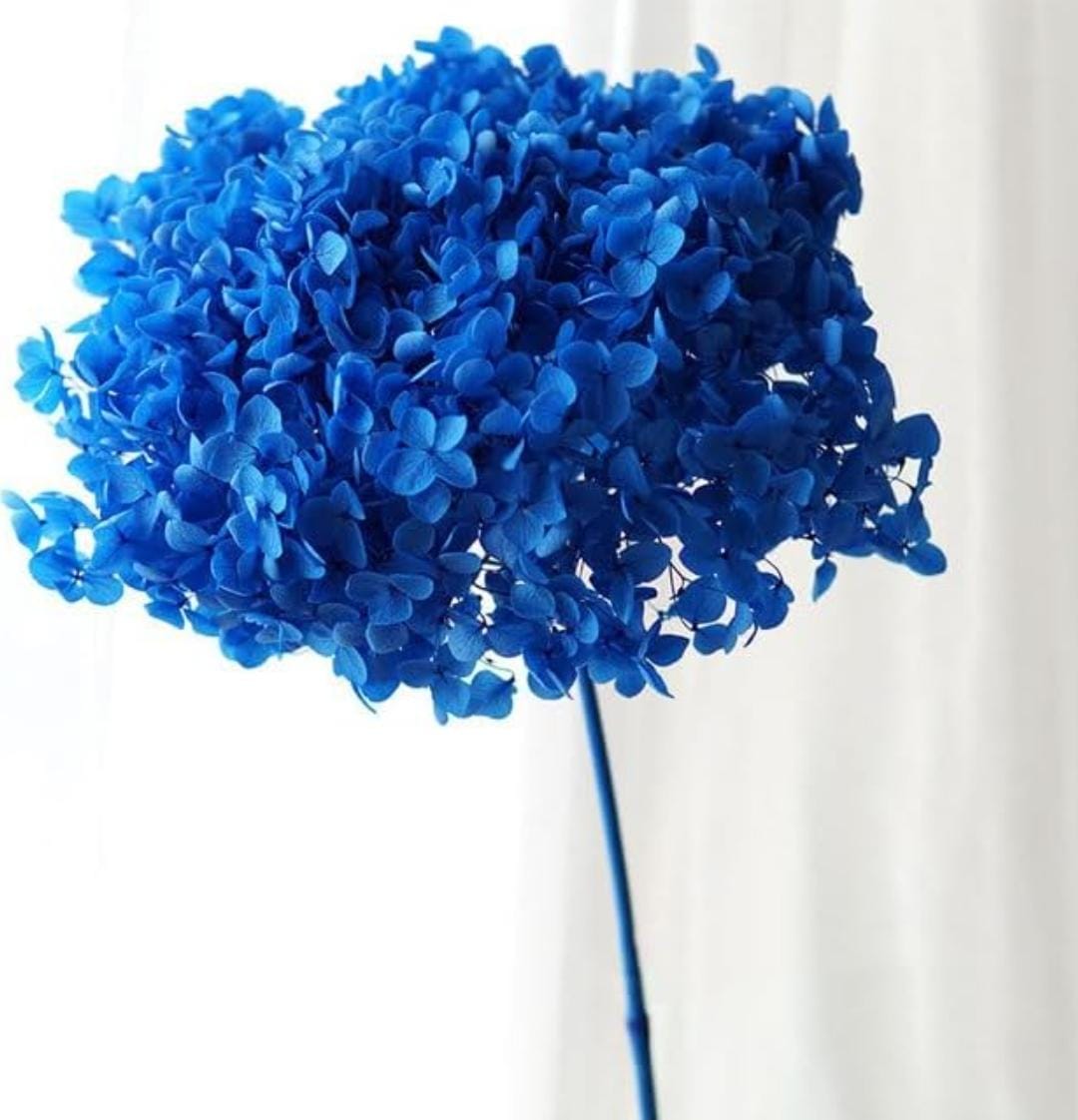 Bakewareind Dried Hydrangeas Leaves Preserved, Blue - Bakeware India