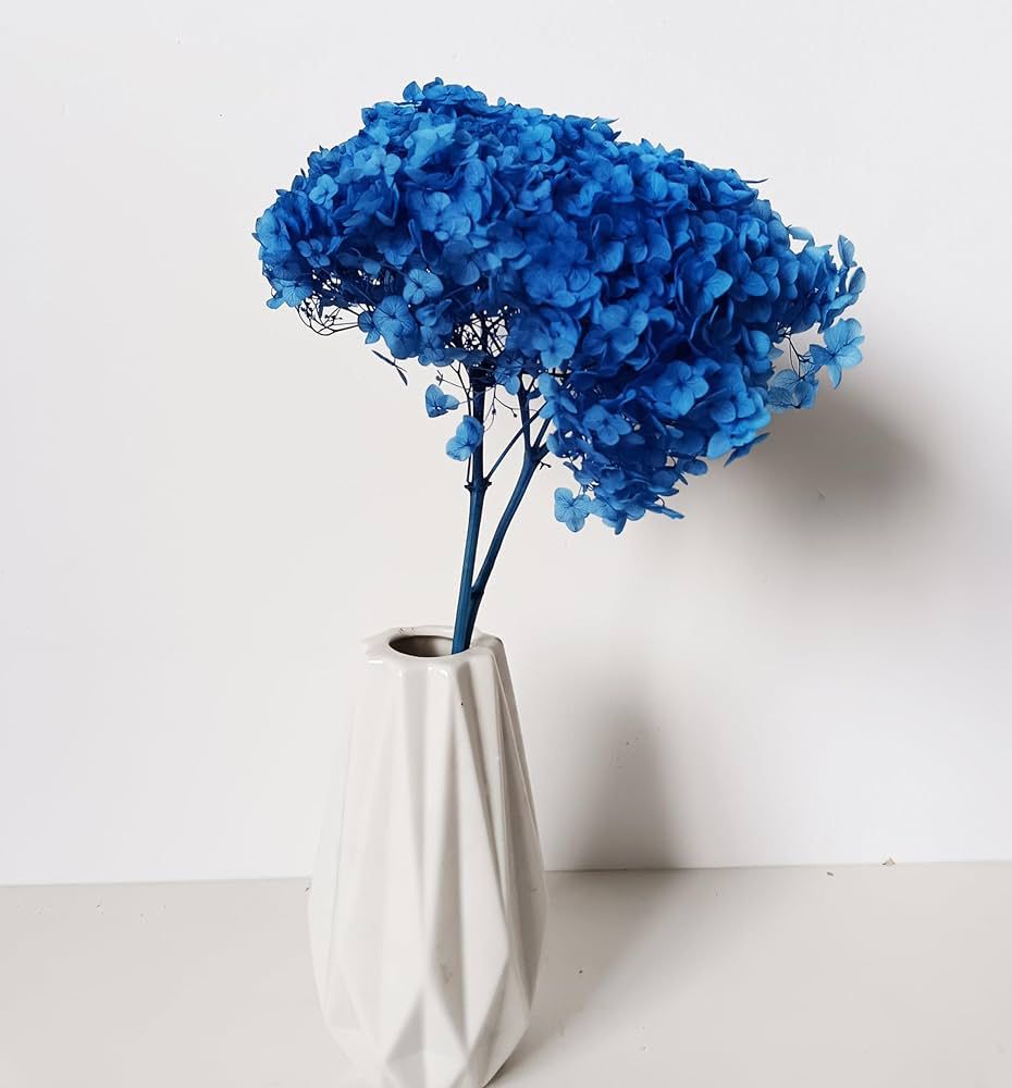 Bakewareind Dried Hydrangeas Leaves Preserved, Blue - Bakeware India