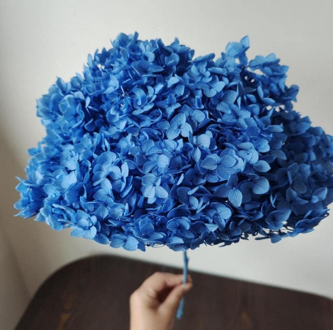Bakewareind Dried Hydrangeas Leaves Preserved, Blue - Bakeware India