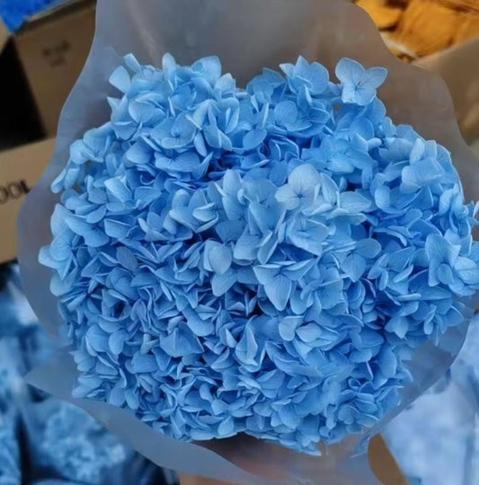 Bakewareind Dried Hydrangeas Leaves Preserved, Blue - Bakeware India