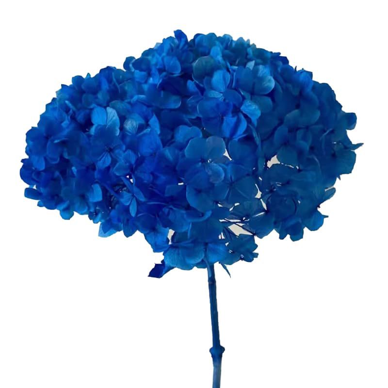Bakewareind Dried Hydrangeas Leaves Preserved, Blue - Bakeware India