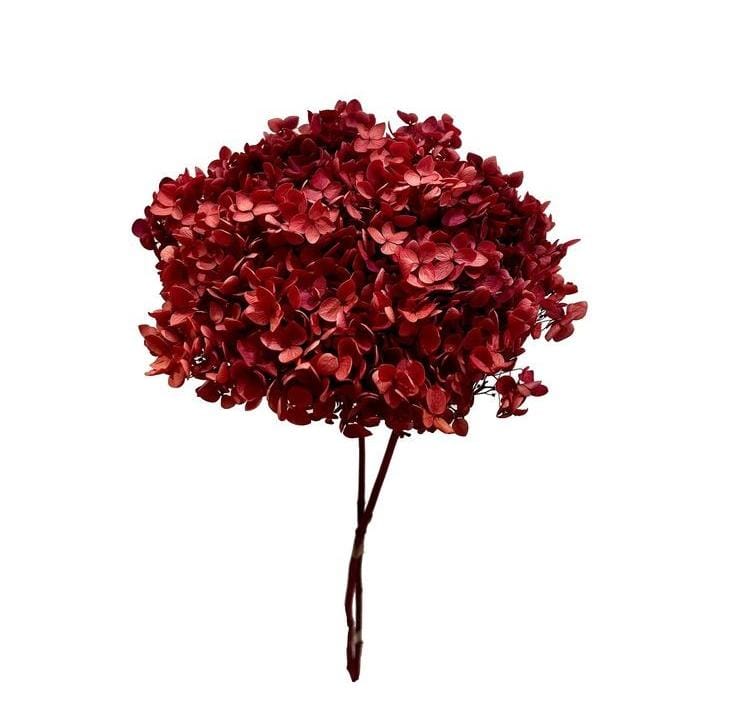 Bakewareind Dried Hydrangeas Leaves Preserved, Deep Red - Bakeware India