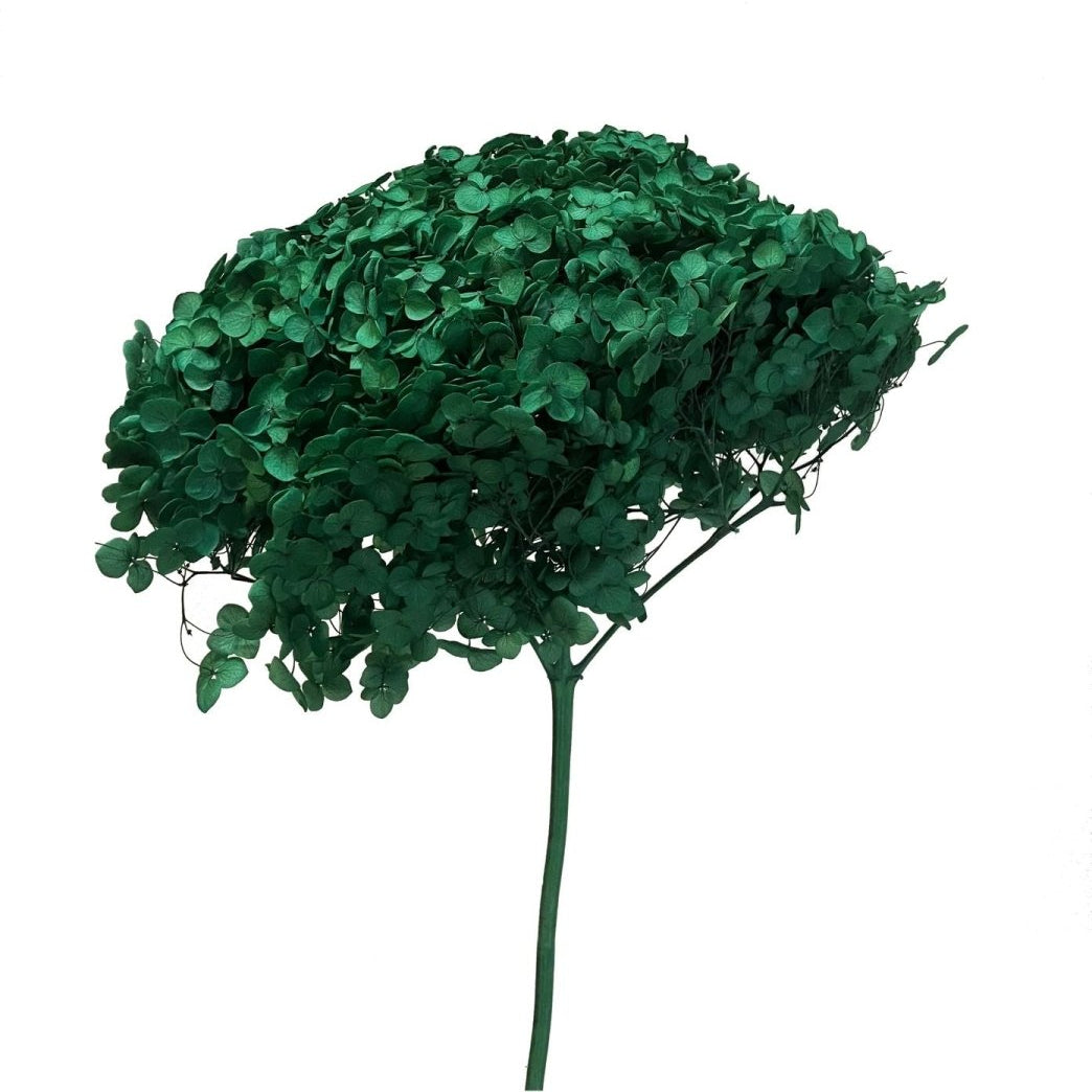 Bakewareind Dried Hydrangeas Leaves Preserved, Green - Bakeware India
