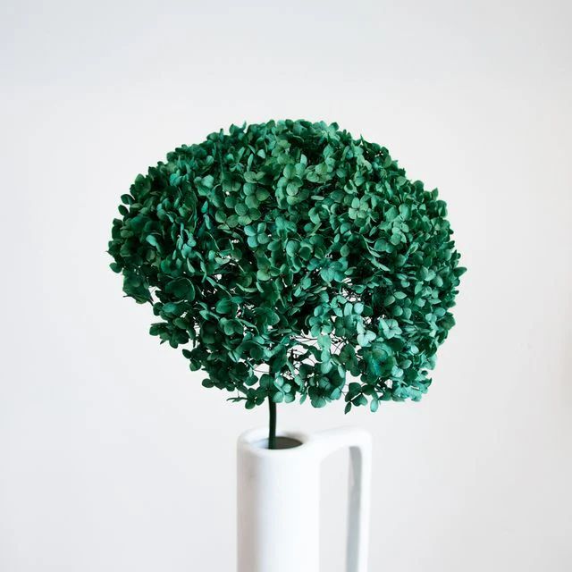 Bakewareind Dried Hydrangeas Leaves Preserved, Green - Bakeware India