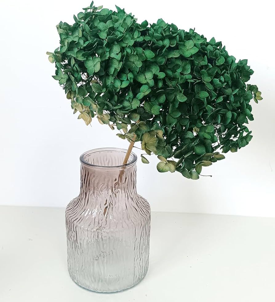 Bakewareind Dried Hydrangeas Leaves Preserved, Green - Bakeware India