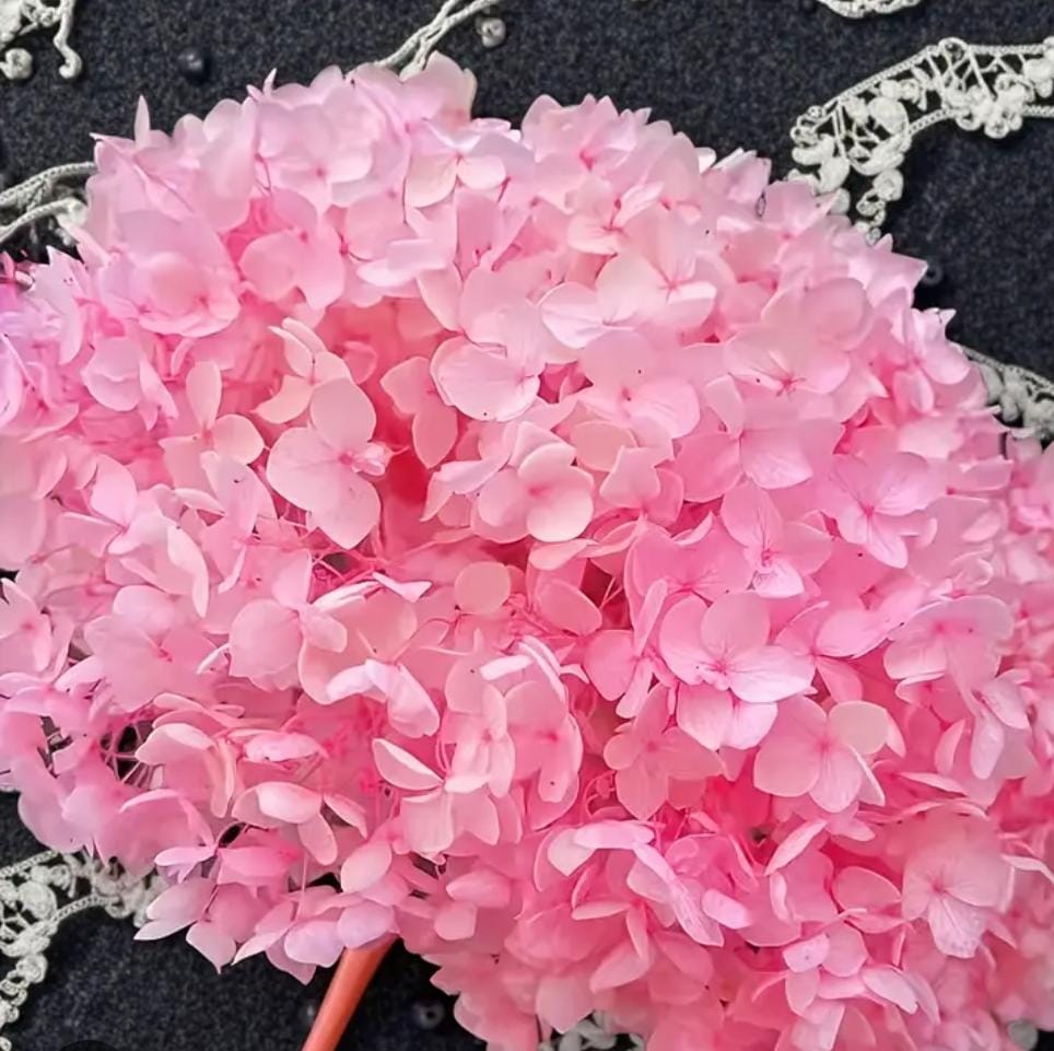Bakewareind Dried Hydrangeas Leaves Preserved, Light pink - Bakeware India