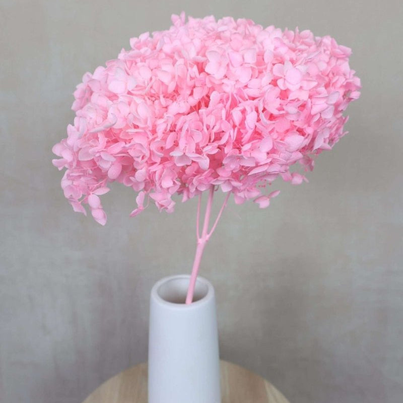 Bakewareind Dried Hydrangeas Leaves Preserved, Pink - Bakeware India