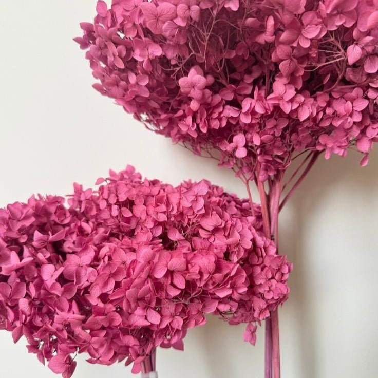Bakewareind Dried Hydrangeas Leaves Preserved, Red - Bakeware India