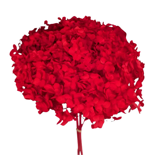 Bakewareind Dried Hydrangeas Leaves Preserved, Red - Bakeware India