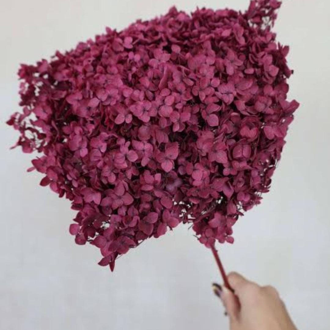 Bakewareind Dried Hydrangeas Leaves Preserved, Red - Bakeware India