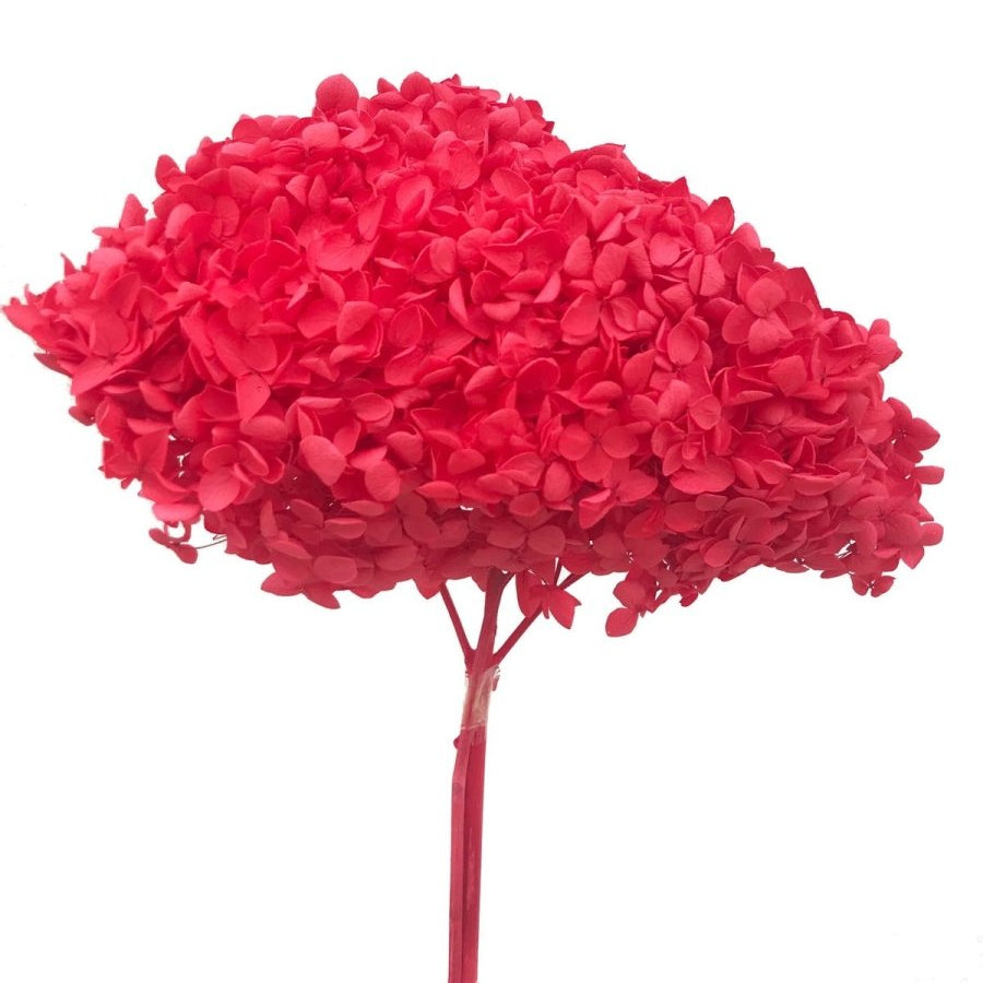 Bakewareind Dried Hydrangeas Leaves Preserved, Red - Bakeware India