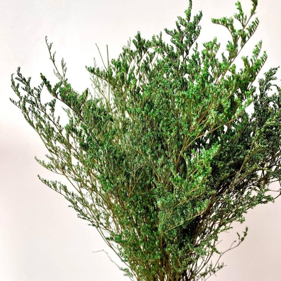 Bakewareind Dried Limonium Grass, Green - Bakeware India