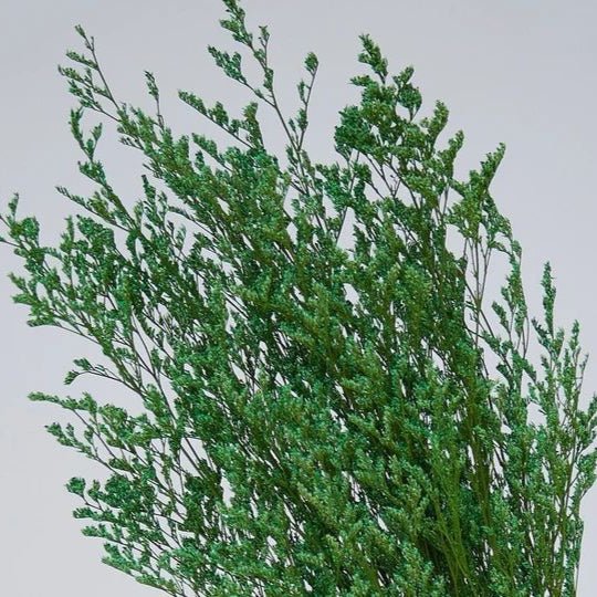 Bakewareind Dried Limonium Grass, Green - Bakeware India