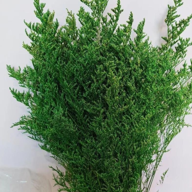 Bakewareind Dried Limonium Grass, Green - Bakeware India