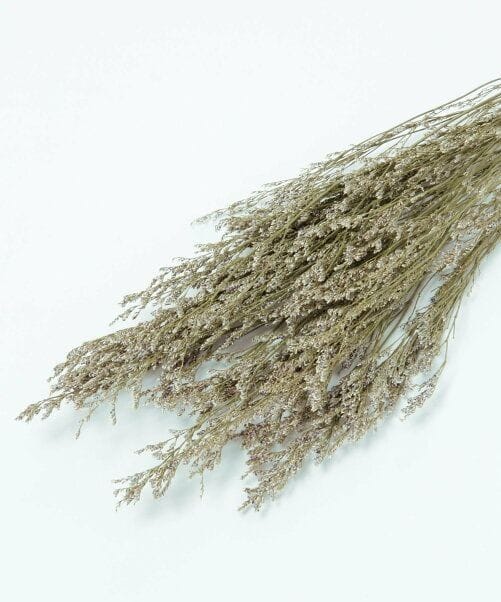 Bakewareind Dried Limonium Grass, Natural - Bakeware India