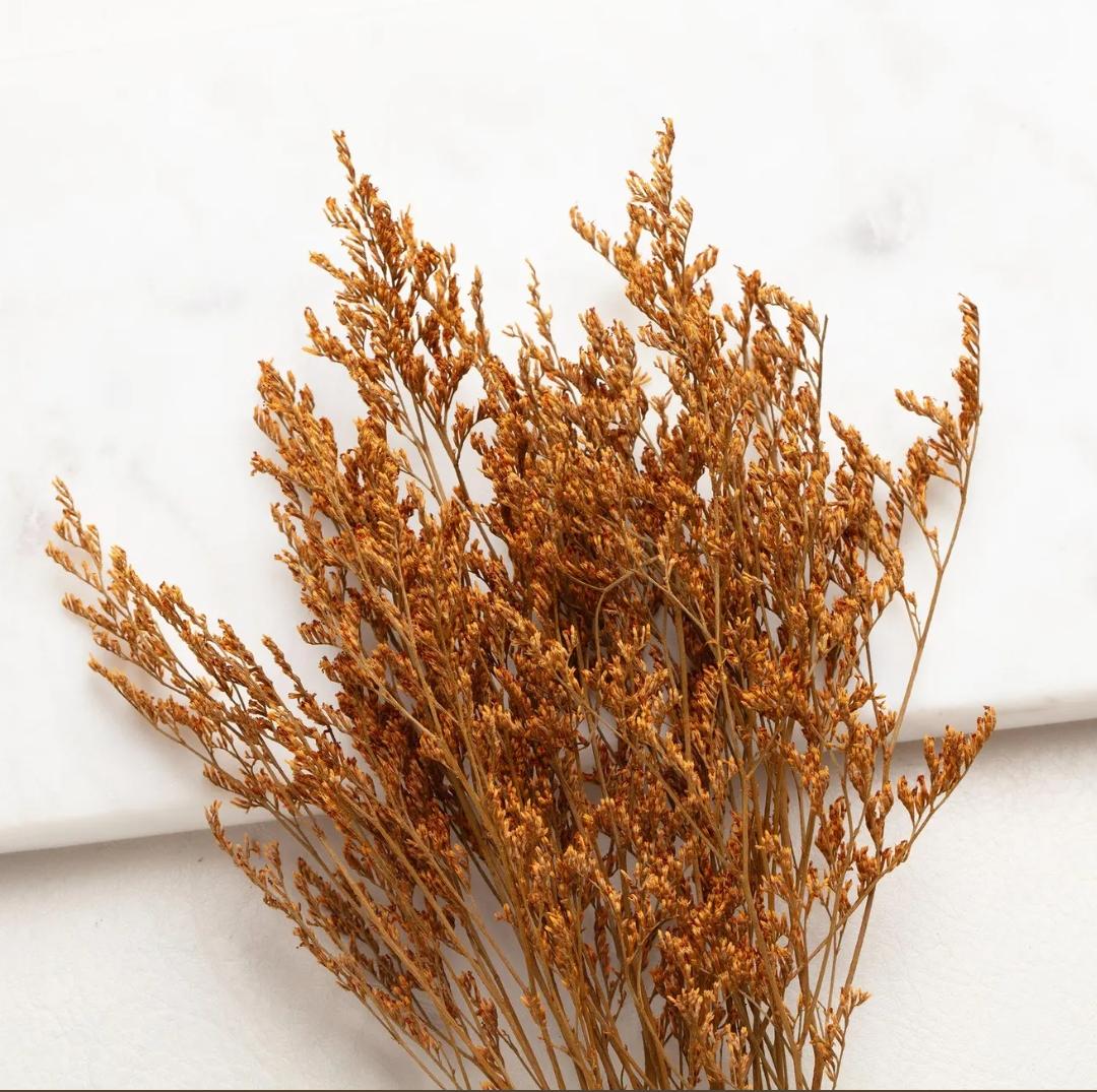 Bakewareind Dried Limonium Grass, Orange - Bakeware India