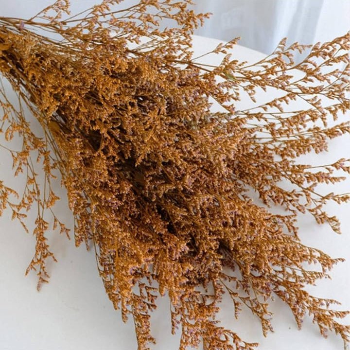 Bakewareind Dried Limonium Grass, Orange - Bakeware India