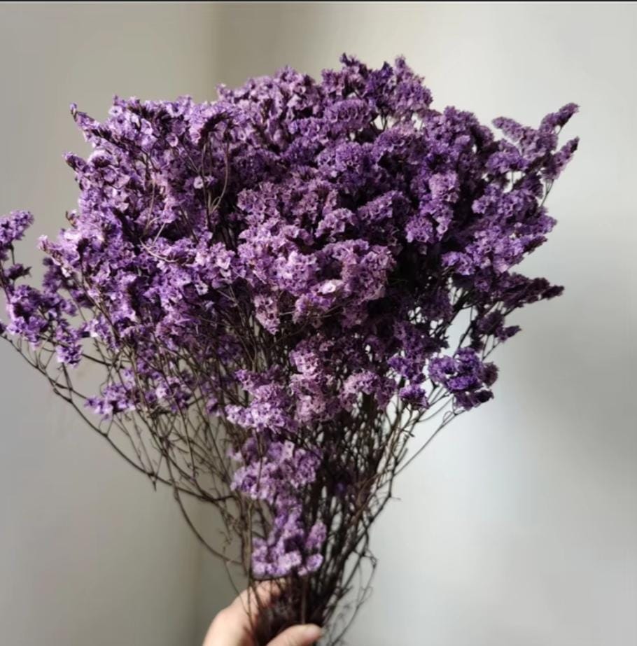 Bakewareind Dried Natural Crystal Grass, { Select Color } - Bakeware India