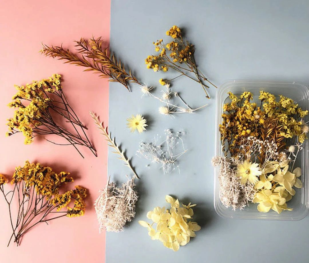 Bakewareind Dried Natural Flower Box, { Select Color } - Bakeware India
