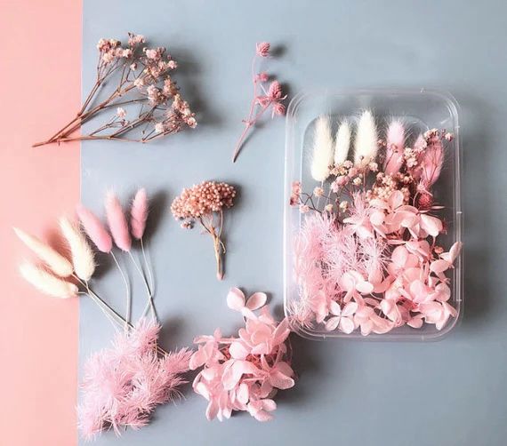 Bakewareind Dried Natural Flower Box, { Select Color } - Bakeware India