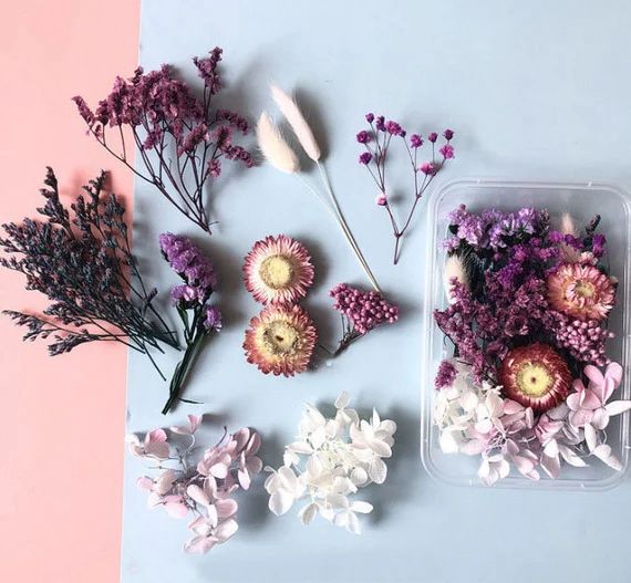 Bakewareind Dried Natural Flower Box, { Select Color } - Bakeware India