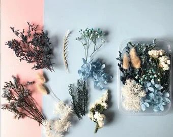 Bakewareind Dried Natural Flower Box, { Select Color } - Bakeware India