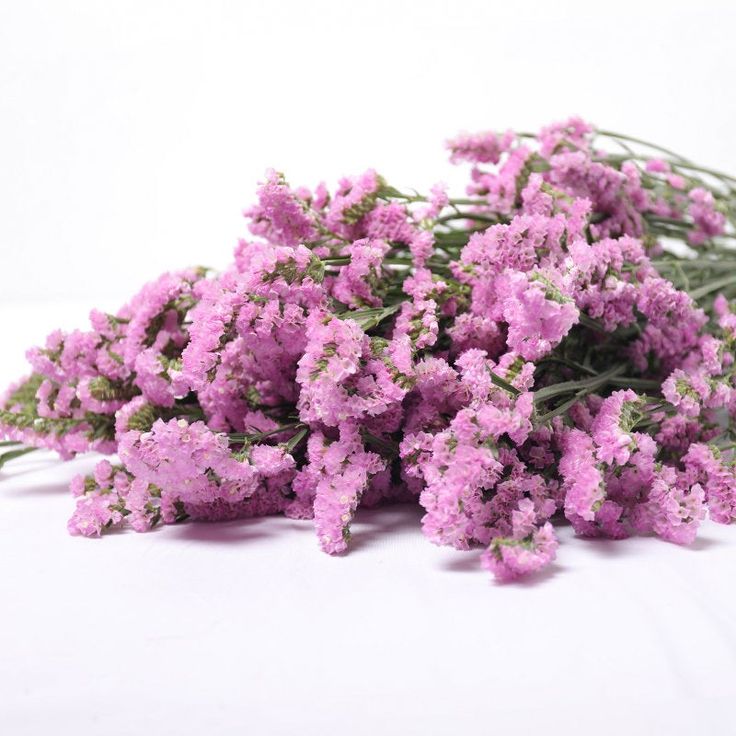 Bakewareind Dried Natural Statice Flower, { Select Color } - Bakeware India