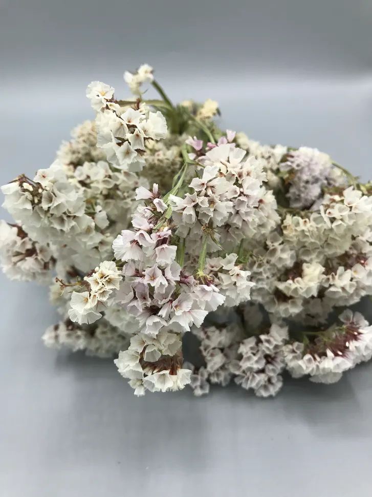 Bakewareind Dried Natural Statice Flower, { Select Color } - Bakeware India