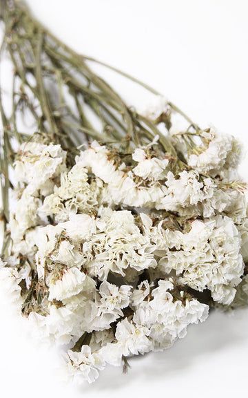 Bakewareind Dried Natural Statice Flower, { Select Color } - Bakeware India