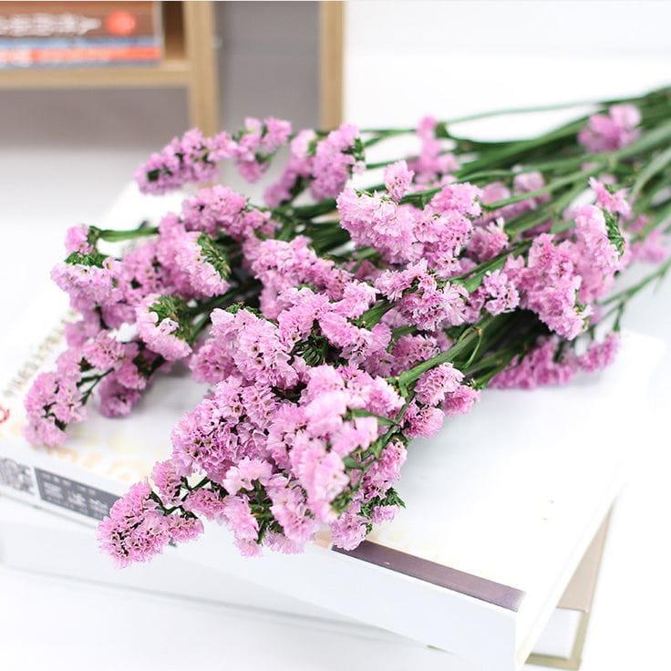 Bakewareind Dried Natural Statice Flower, { Select Color } - Bakeware India