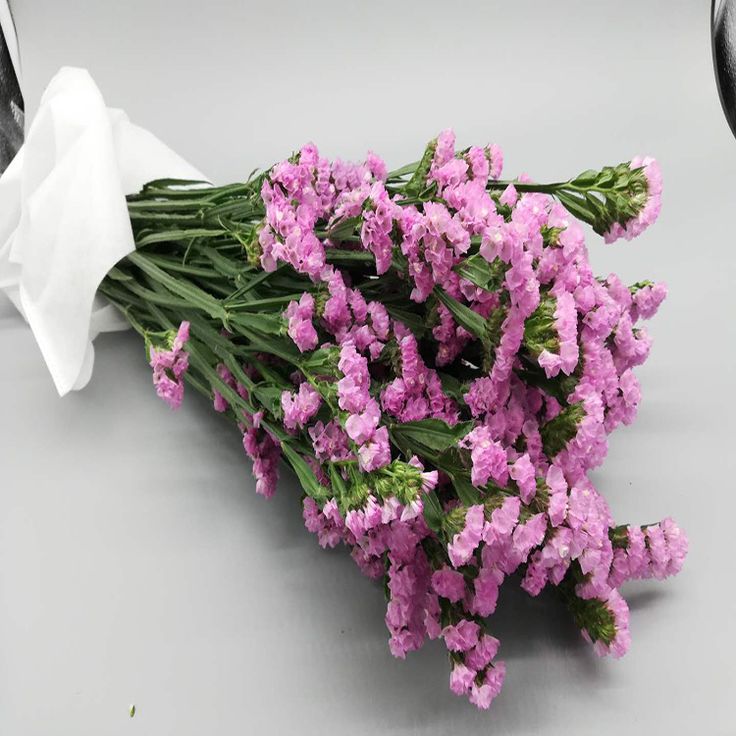 Bakewareind Dried Natural Statice Flower, { Select Color } - Bakeware India
