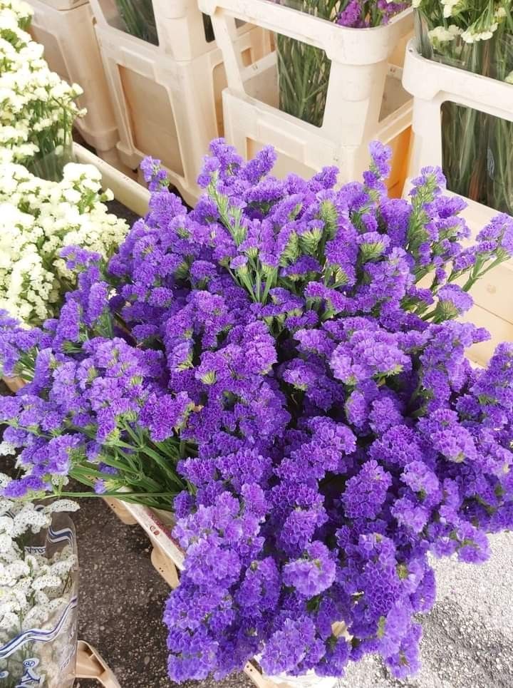 Bakewareind Dried Natural Statice Flower, { Select Color } - Bakeware India